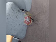 Четыре ребенка пострадали при детонации страйкбольной гранаты в школе Севастополя