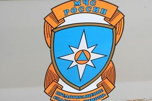 Из реки Алешня в Сапожковском районе извлекли «Жигули» с погибшим человеком