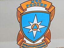 Из реки Алешня в Сапожковском районе извлекли «Жигули» с погибшим человеком