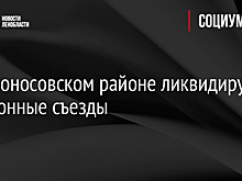 В Ломоносовском районе ликвидируют незаконные съезды