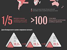Мировой калийный рынок: передышка заканчивается, впереди конкуренция