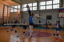 В Новотроицке прошел международный турнир по волейболу
