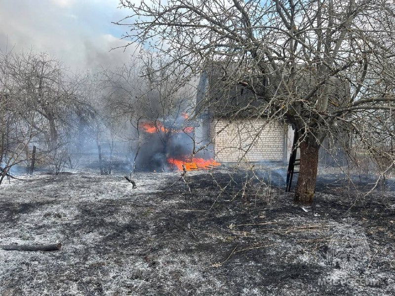 Шесть садовых домиков сгорели в Арзамасе из-за поджога