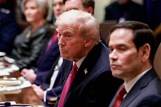 Трамп и Зеленский созвонятся