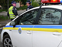 Похитительницей младенца в Киеве оказалась активистка Майдана - СМИ