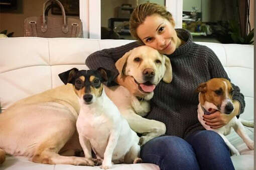 Ольга Орлова рассказала, что приютила собаку Жанны Фриске после смерти певицы