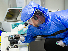 Раскрыта деятельность американских лабораторий у границ РФ