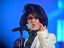 Популярную российскую певицу обвинили в самозахвате элитного поселка