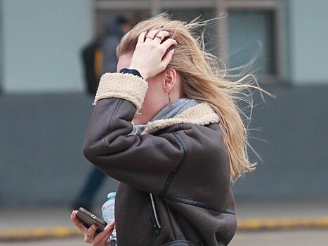 Сильный ветер ожидается в Москве и области до утра 6 мая