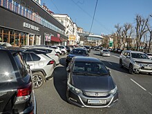 Закусали на 200 тысяч: как автомобили страдают от животных, рассказали страховщики