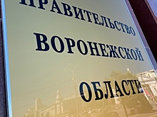 Кого назвали почётными гражданами Воронежской области в 2019 году