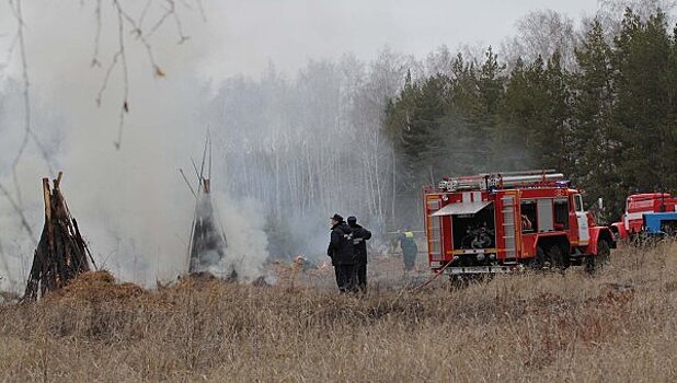 Площадь лесных пожаров увеличилась в Коми до 767 га