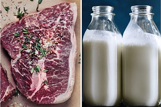 Мясо и молоком: что будет с организмом, если их употреблять одновременно