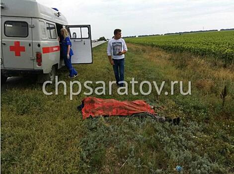 В Марксовском районе водитель иномарки съехал в кювет