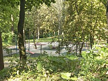 В Калининградской области идёт активная работа по сохранению и благоустройству зелёных зон