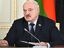 Лукашенко раскритиковал отсутствие нормальной реакции на стихию в стране