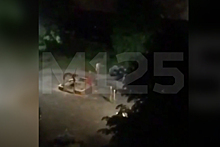 Голый мужчина прогулялся по детской площадке в Москве и попал на видео