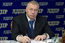 Владимир Жириновский предложил распустить Заксобрание Владимирской области