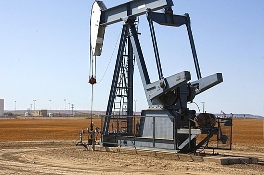 Дума ратифицировала протокол к соглашению с Киргизией о поставках нефти и нефтепродуктов
