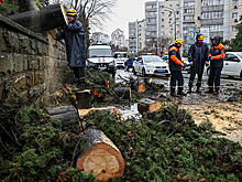 В МЧС предложили давать выходной пострадавшим от ЧС россиянам