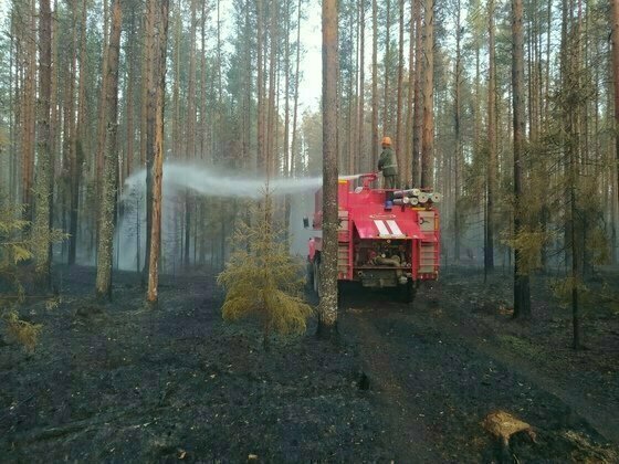 В Кировской области за стуки зарегистрировано два лесных пожара