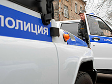 В Петербурге избившего ребенка с самокатом водителя взяли под стражу