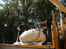 Выставленную в «Аптекарском огороде» тыкву весом более 645 кг из Луховиц занесли в Книгу рекордов России