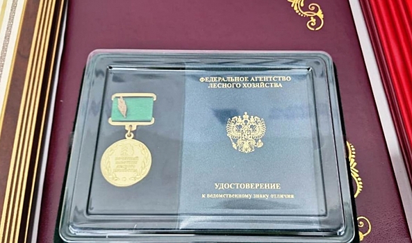 В Волгоградской области отметили лучших специалистов лесного хозяйства