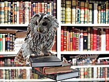 Три книги от министра культуры Грузии разным поколениям