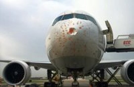 Грузовой самолет Boeing 777F столкнулся со стаей птиц