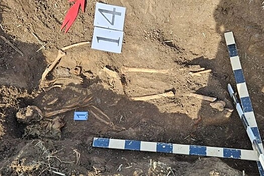 Останки красноармейца с Кубани обнаружили спустя 83 года