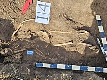 Останки красноармейца с Кубани обнаружили спустя 83 года
