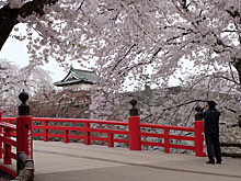 Еще одно сильное землетрясение произошло у берегов Японии