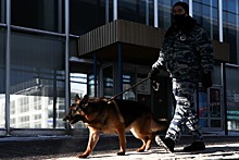 Полиция Ставрополя получила сообщения о минировании более 70 объектов