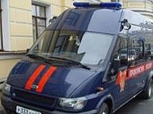Школьница попала в больницу после нападения стаи собак