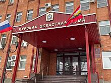 Александр Хинштейн оценил численность аппарата Курской областной Думы