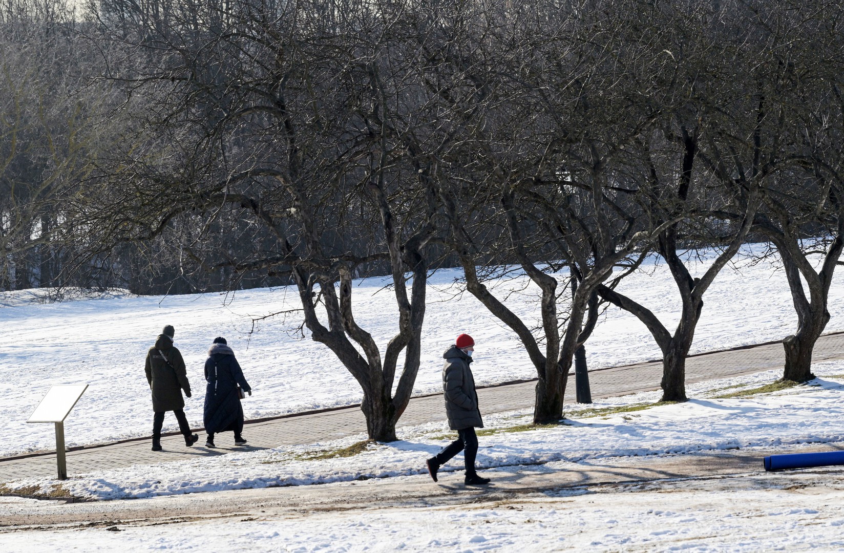 Веселит эта истерия: депутат высмеял россиян