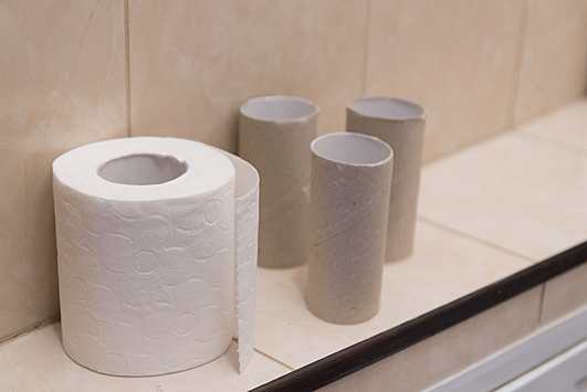 Почему нельзя выбрасывать втулки от туалетной бумаги