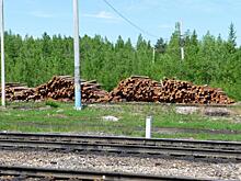 Депутаты просят субсидировать железнодорожные перевозки необработанной древесины с Дальнего Востока