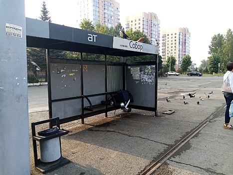 Бомжи и голуби захватили остановку в центре Кемерова