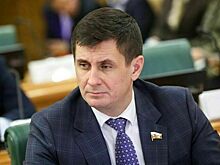 Сенатор поддержал введение санкций для авиакомпаний за нарушение прав пассажиров