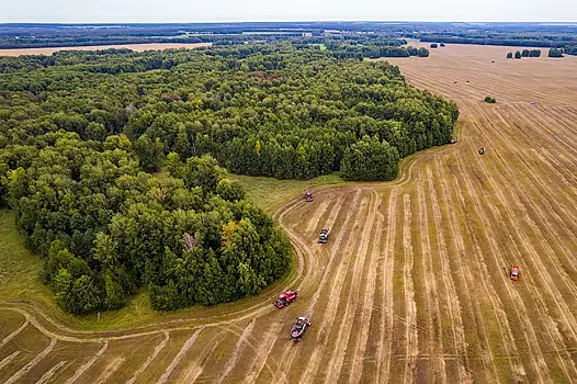 Почти 2,5 млн тонн зерна намолотили аграрии в Новосибирской области