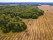 Почти 2,5 млн тонн зерна намолотили аграрии в Новосибирской области