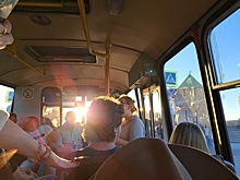 Калининградцы жалуются на транспортный коллапс из-за туристов: «Река из людей»