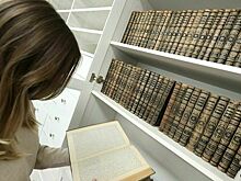 Совет Федерации одобрил создание Национального словарного фонда