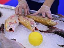 Власти заявили о необходимости популяризовать потребление рыбы в России