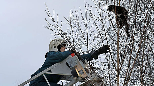 Операторы службы 112 рассказали о самых смешных и странных звонках
