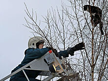 Операторы службы 112 рассказали о самых смешных и странных звонках