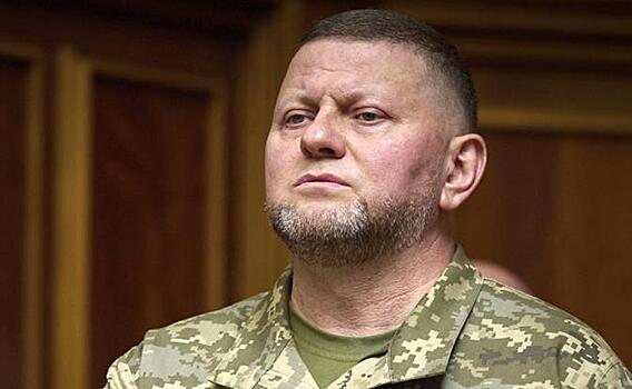 Штыки «азовцев» затолкают Валерия Залужного в кресло президента Украины