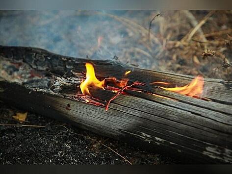 В Забайкалье предложили в 10 раз повысить штрафы за поджоги леса